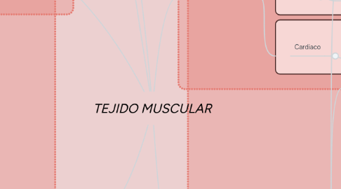 Mind Map: TEJIDO MUSCULAR