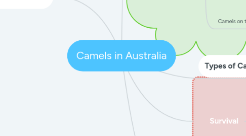 Mind Map: Camels in Australia