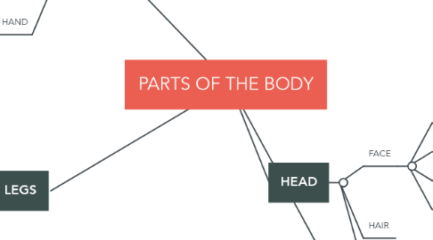 Mind Map: PARTS OF THE BODY