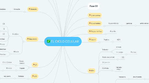 Mind Map: EL CICLO CELULAR