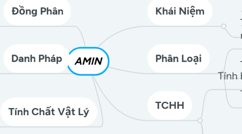 Mind Map: AMIN