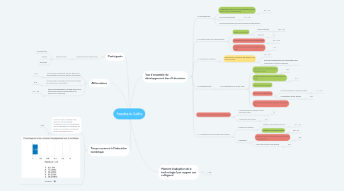 Mind Map: Feedback Selfie