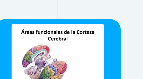 Mind Map: La Corteza Cerebral y Areas Funcionales