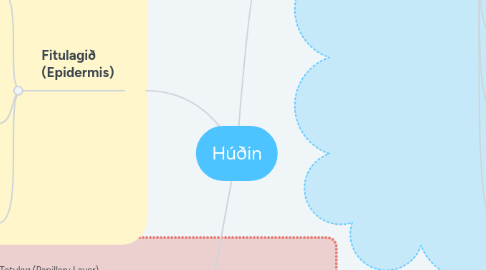 Mind Map: Húðin