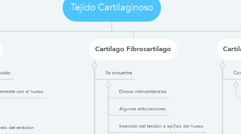 Mind Map: Tejido Cartilaginoso