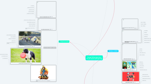 Mind Map: Change hiking experience for pet owners with gaming