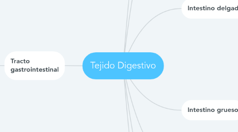 Mind Map: Tejido Digestivo