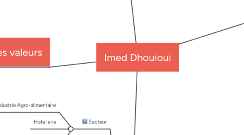 Mind Map: Imed Dhouioui