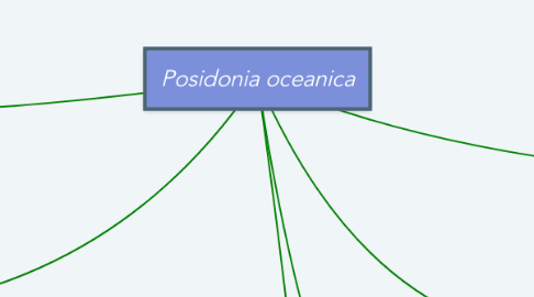 Mind Map: Posidonia oceanica