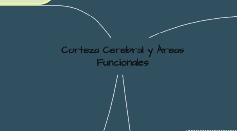 Mind Map: Corteza Cerebral y Áreas Funcionales