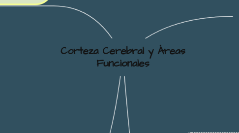 Mind Map: Corteza Cerebral y Áreas Funcionales