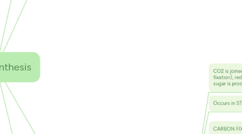 Mind Map: Photosynthesis