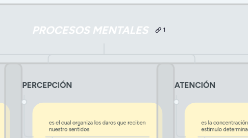 Mind Map: PROCESOS MENTALES