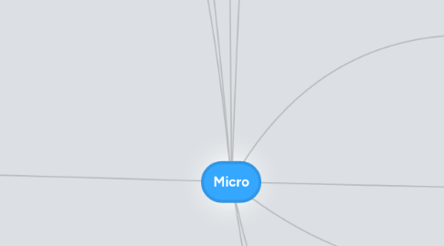 Mind Map: Micro