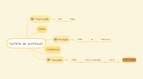 Mind Map: síntese de proteínas