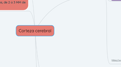 Mind Map: Corteza cerebral