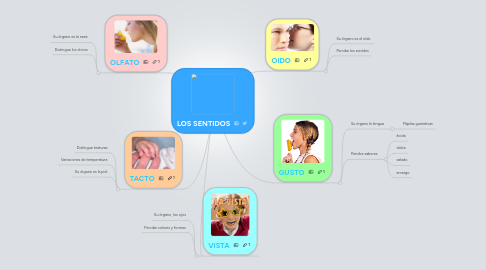 Mind Map: LOS SENTIDOS