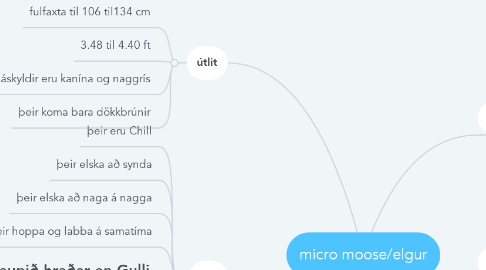 Mind Map: micro moose/elgur