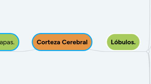 Mind Map: Corteza Cerebral