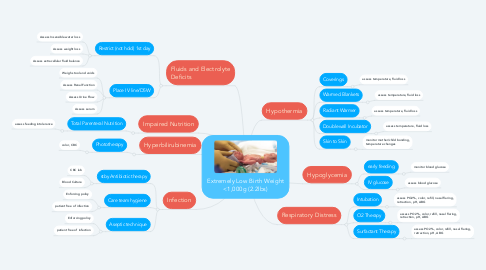 Mind Map: Extremely Low Birth Weight <1,000g (2.2lbs)