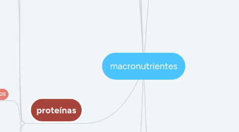 Mind Map: macronutrientes