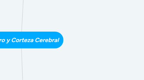 Mind Map: Cerebro y Corteza Cerebral