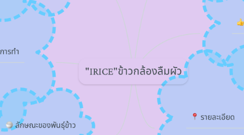 Mind Map: "IRICE"ข้าวกล้องลืมผัว