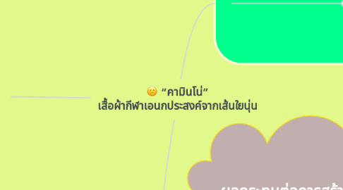 Mind Map: “คามินโน่” เสื้อผ้ากีฬาเอนกประสงค์จากเส้นใยนุ่น