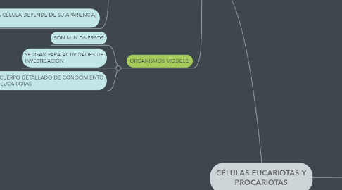 Mind Map: CÉLULAS EUCARIOTAS Y PROCARIOTAS