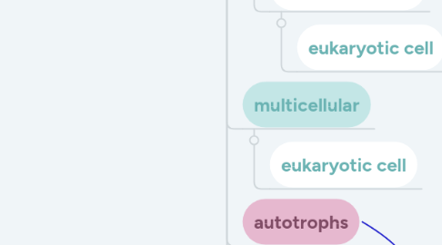 Mind Map: BASIC CELL (by Beya Ben Ayed, 11F)