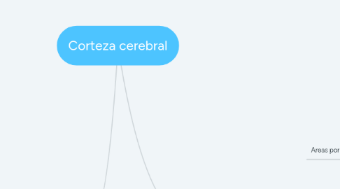 Mind Map: Corteza cerebral