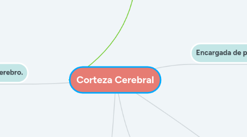 Mind Map: Corteza Cerebral