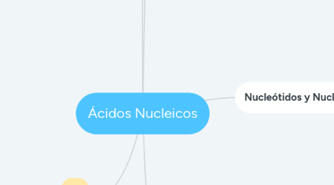 Mind Map: Ácidos Nucleicos