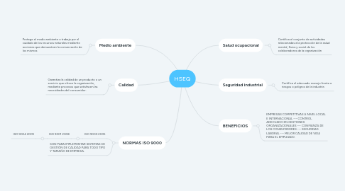 Mind Map: HSEQ