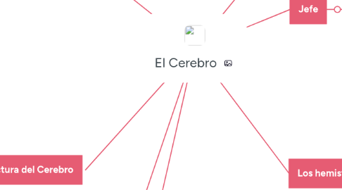 Mind Map: El Cerebro