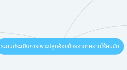 Mind Map: ระบบประเมินการเพาะปลูกอ้อยด้วยอากาศยานไร้คนขับ