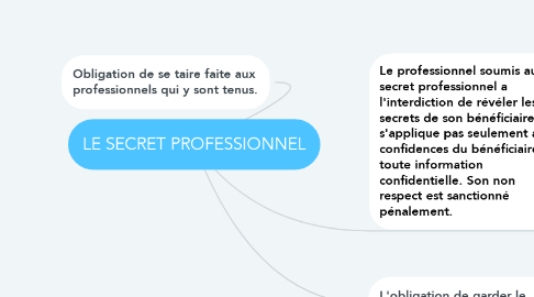 Mind Map: LE SECRET PROFESSIONNEL