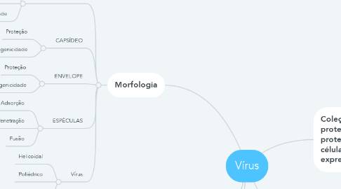 Mind Map: Vírus