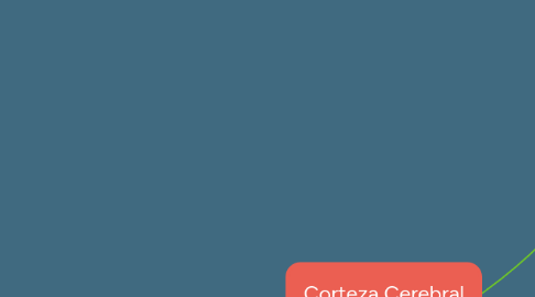 Mind Map: Corteza Cerebral