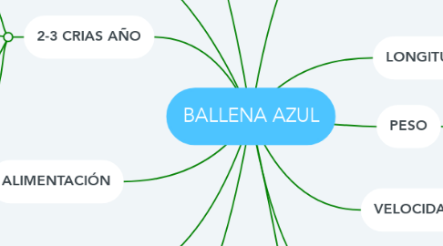 Mind Map: BALLENA AZUL