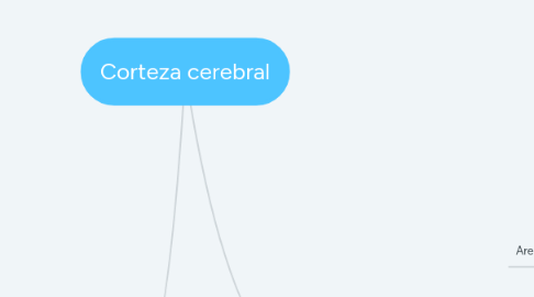 Mind Map: Corteza cerebral