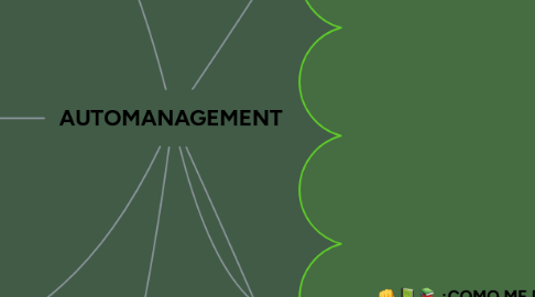 Mind Map: AUTOMANAGEMENT