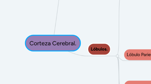 Mind Map: Corteza Cerebral.