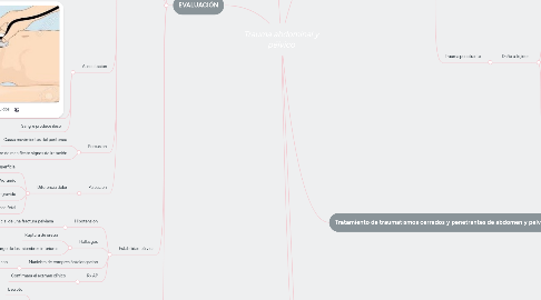 Mind Map: Trauma abdominal y pélvico