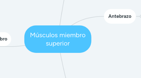 Mind Map: Músculos miembro superior