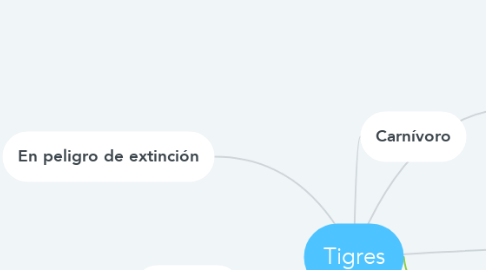 Mind Map: Tigres