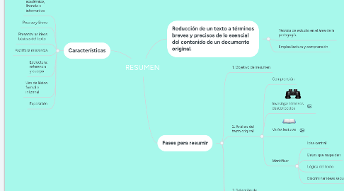 Mind Map: RESUMEN