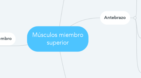 Mind Map: Músculos miembro superior