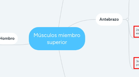 Mind Map: Músculos miembro superior