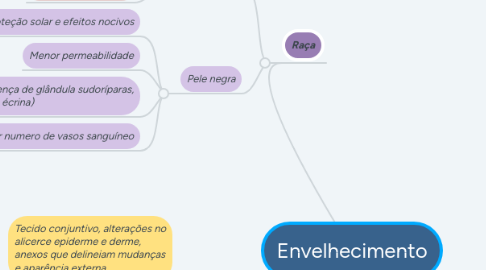 Mind Map: Envelhecimento